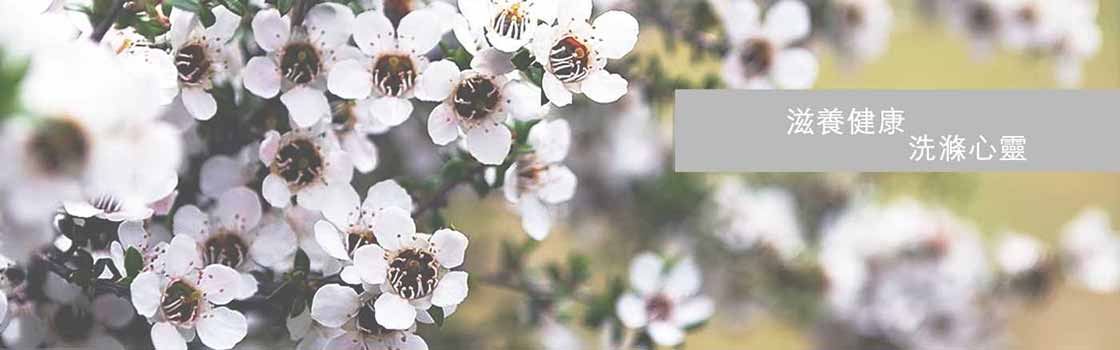 Peace and Harmony of Australian Nature Flower